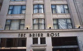 The Briar Rose